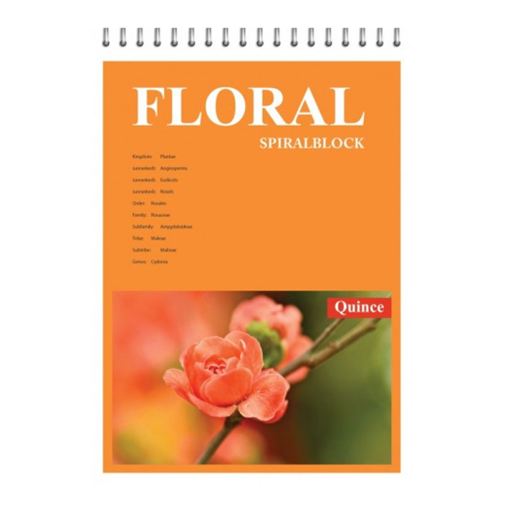 Блокнот А5/80 "КRAFT COLOR "Офорт" (KF5280K), зверху спіраль. з перф.білі