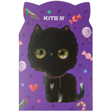 Блокнот В5) 48 "Kite" (K22-461-4) м'яка. обкл., Black cat