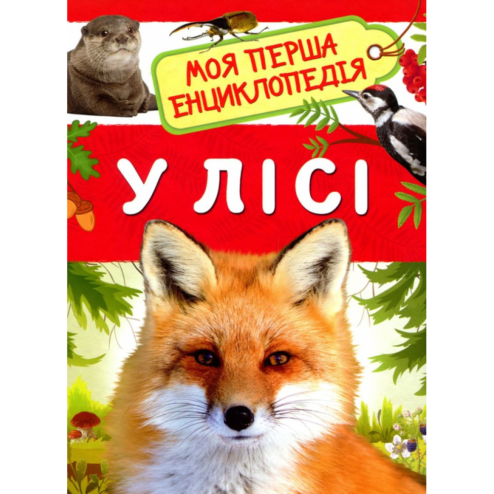 У лісі. Моя перша енциклопедія