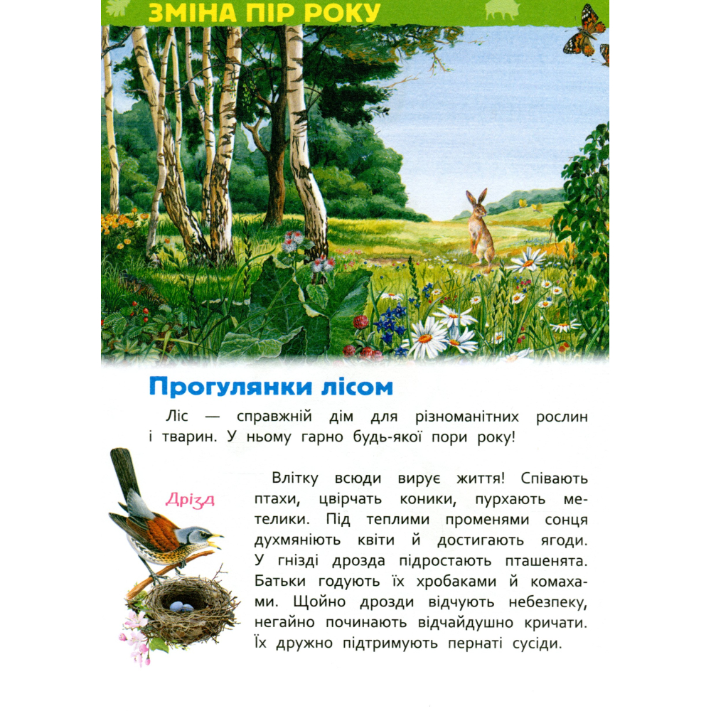 У лісі. Моя перша енциклопедія