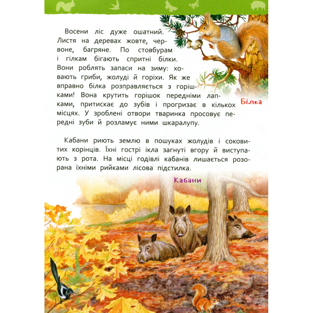 У лісі. Моя перша енциклопедія