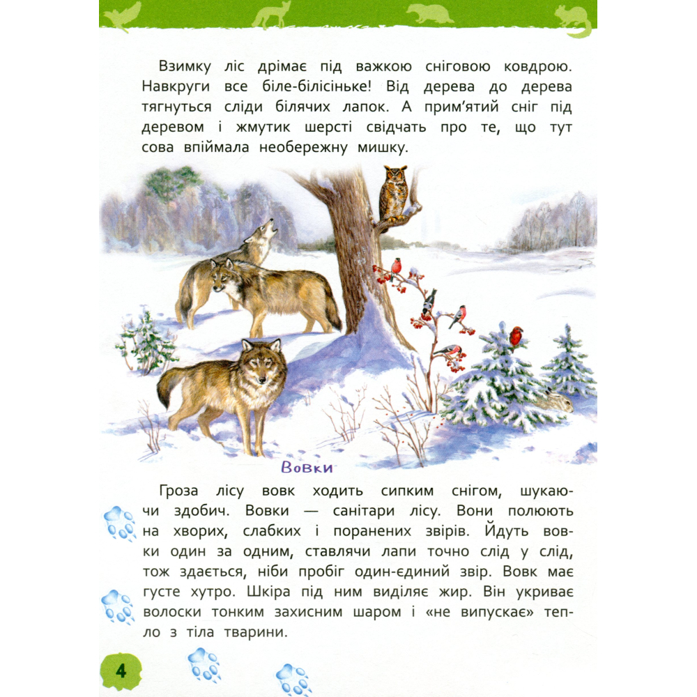 У лісі. Моя перша енциклопедія