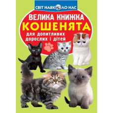 Велика книжка. Кошенята