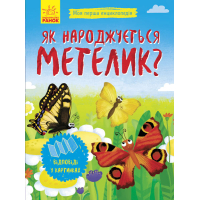 Як народжується метелик?