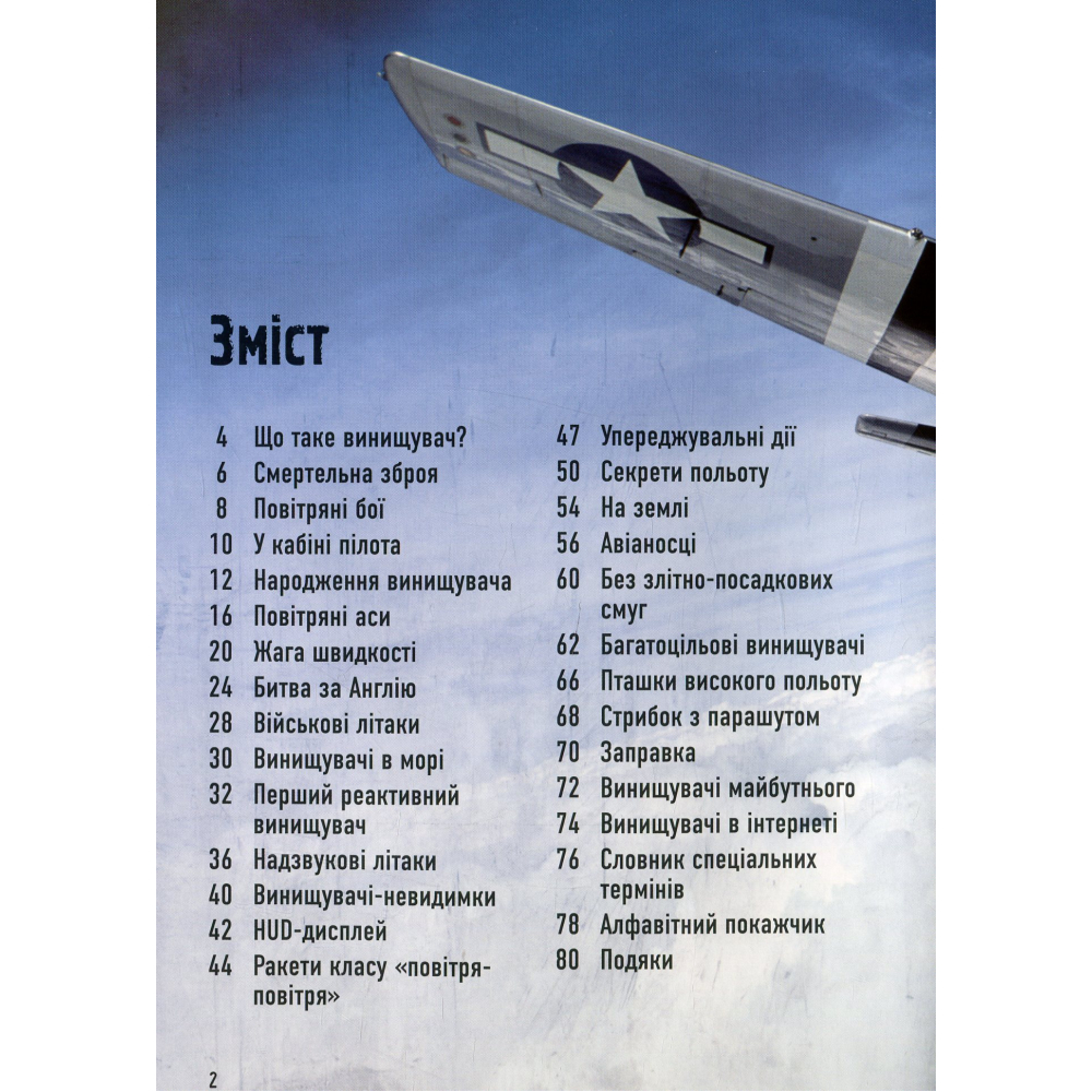 Бойові літаки