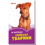 Бузкові книжки. 22 картинки. Свійські тварини