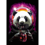 Картина за номерами „Панда космонавт“, 35*45см (N00013218) RS