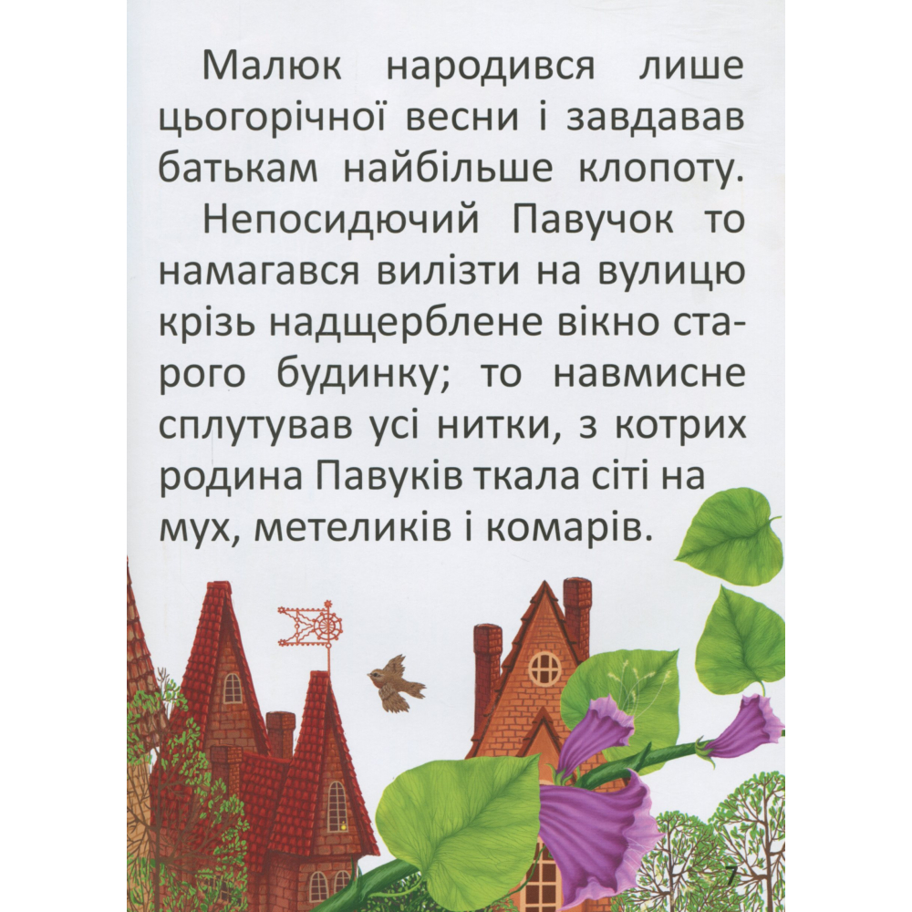 Павучок без імені
