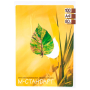 Папір А4 М-Стандарт білий 80г/м.кв. 100 арк.