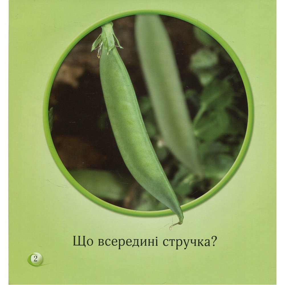 Що всередині?