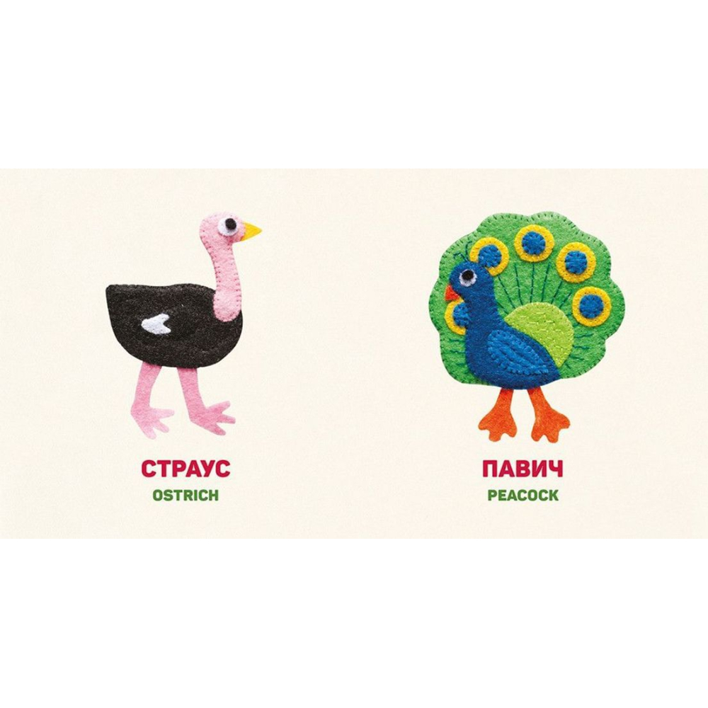 Птахи. Birds