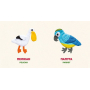 Птахи. Birds