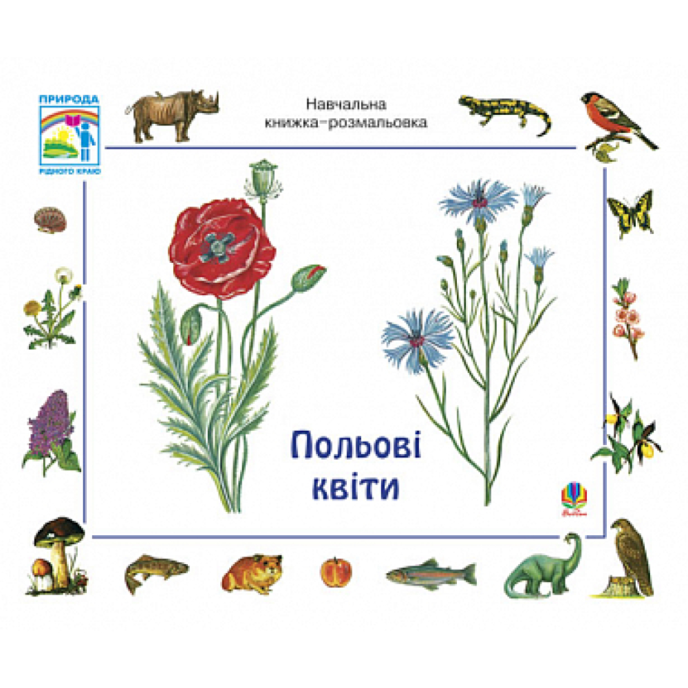 Польові квіти. Навчальна книжка-розмальовка