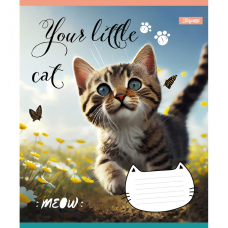 Зошит уч. "1В" 12арк. (766518) "Your little cat"