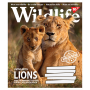 Зошит уч. "YES" 60арк. (766083) "Wild life"