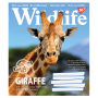 Зошит уч. "YES" 60арк. (766083) "Wild life"