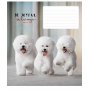 Зошит уч. "Школярик" 18арк. (3263L) "Be joyful always" ВД-лак (нейт)