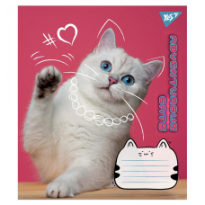 Зошит уч. "YES" 12арк. (766539) "Adventurous cats"