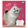 Зошит уч. "YES" 12арк. (766520) "Adventurous cats"